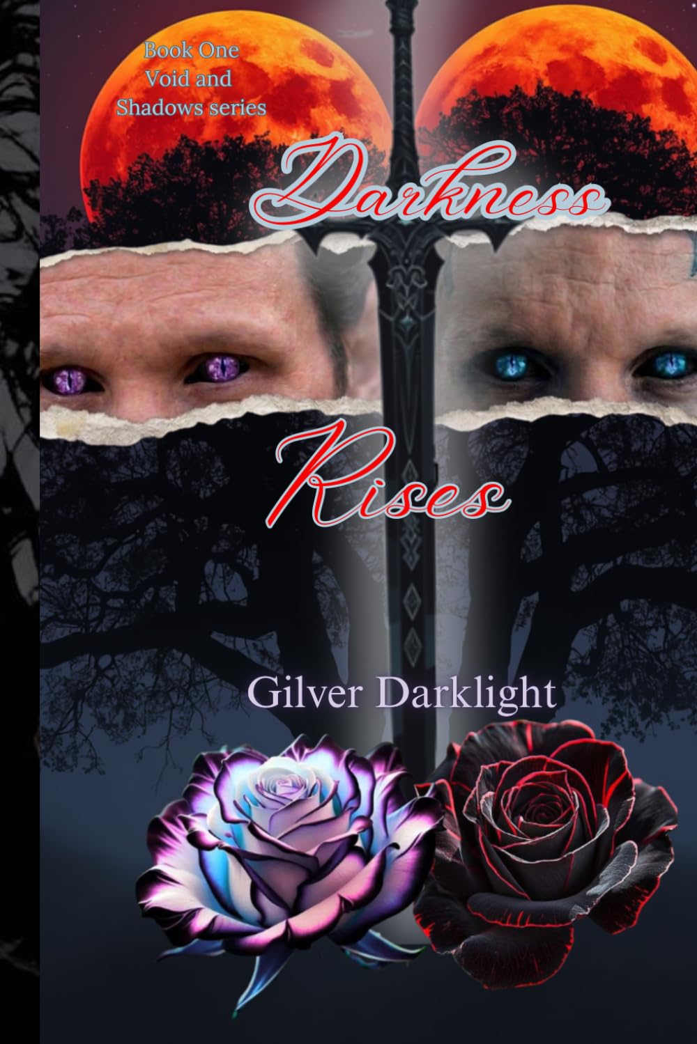 Darkness Rises: Book One of the Void and Shadows Series