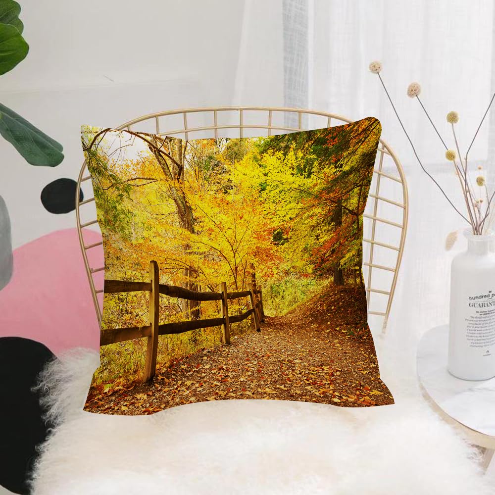 HYOSXW Cushion Cover,Throw Pillow Case Home Decorative for Living Room Bedroom Sofa Chair 16X16 Inch,Landscape, autumn fall trees leaves,Pillowcase 40X40cm