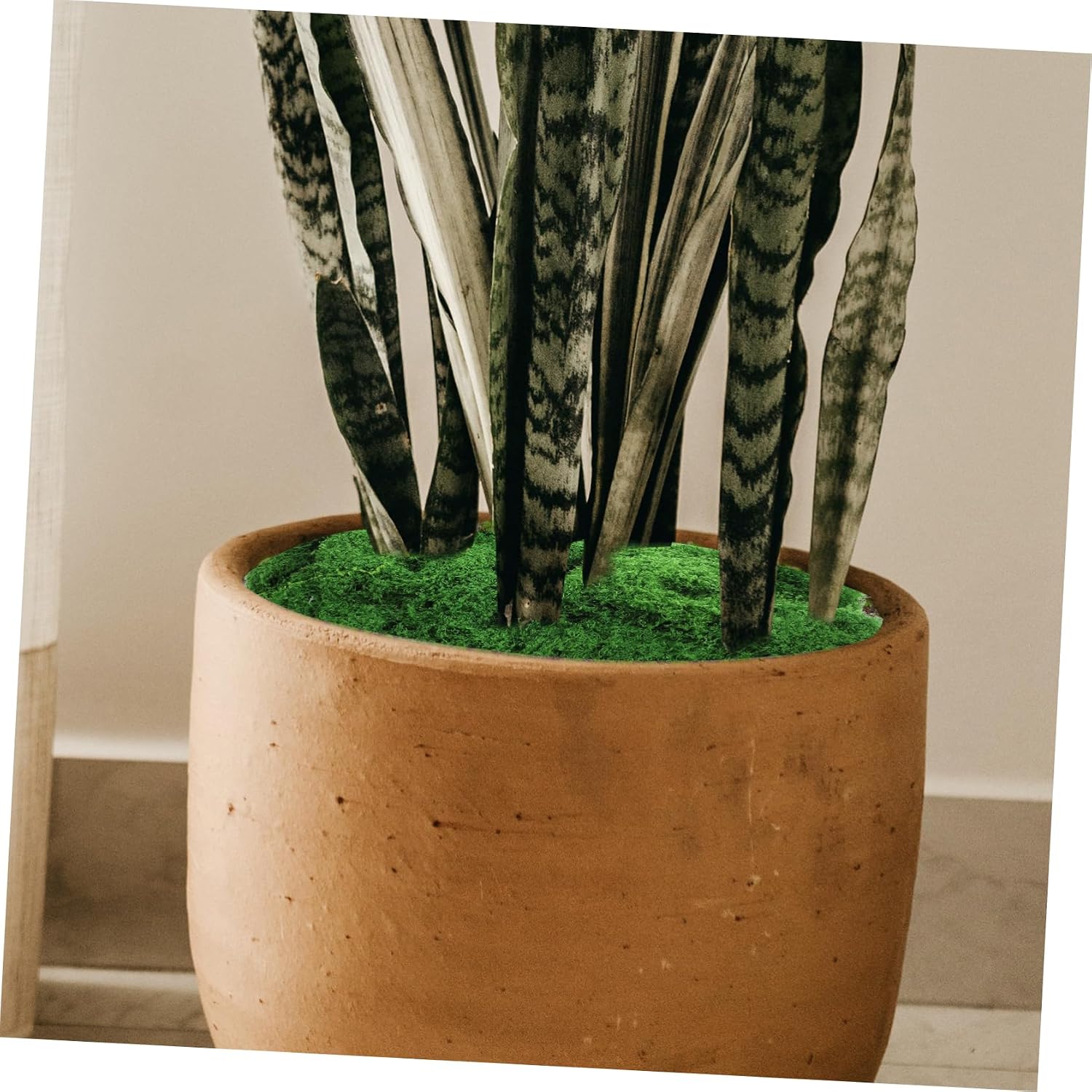 Green Silk Floss Floral Moss for Flower Arrangement Decor