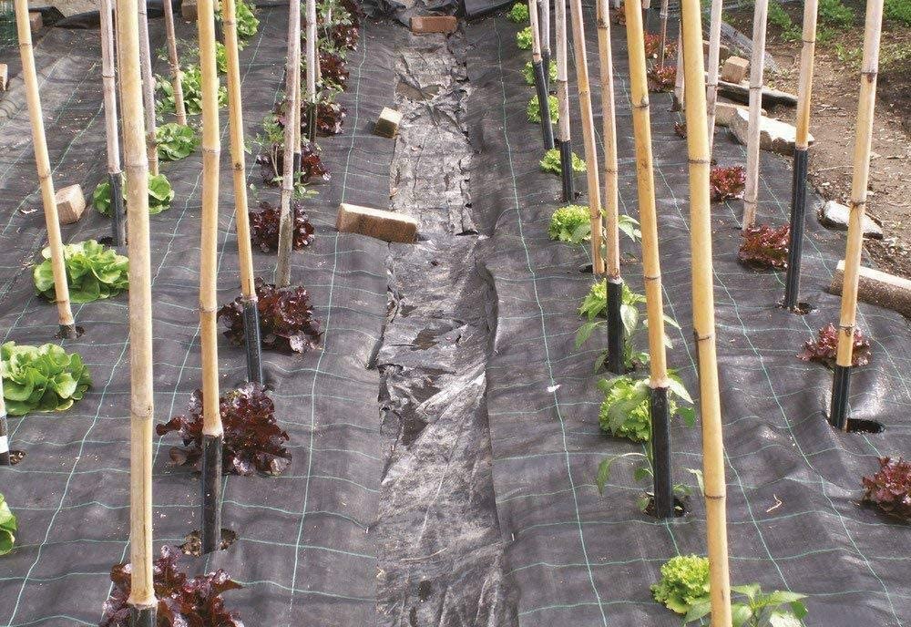 Telo Pacciamatura 1,05 x 40 Mt Professionale – Anti Erbacce Nero, Resistente e UV Stabilizzato per Orto, Aiuole e Giardino