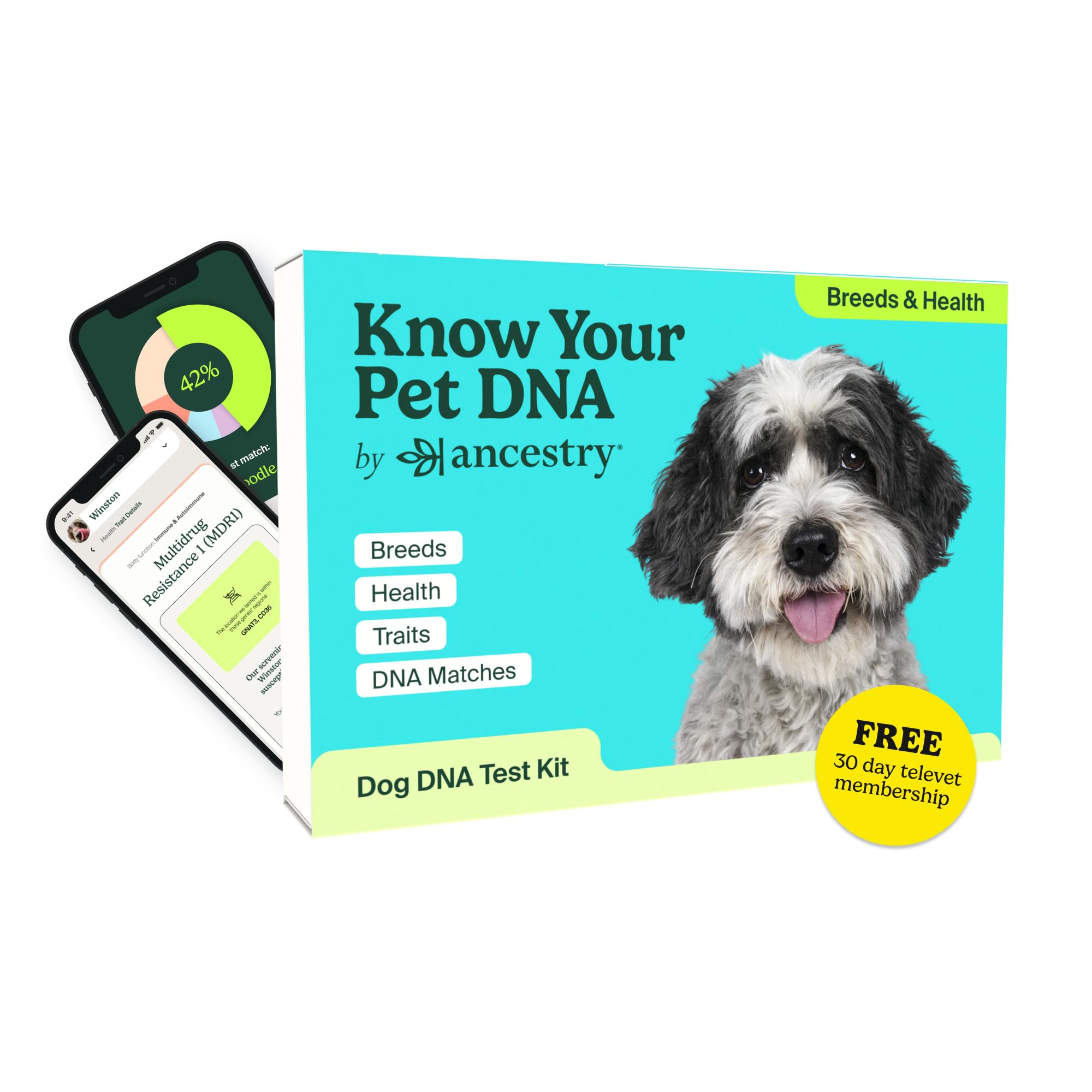 Ancestry Dog DNA Test: The Top-Selling DNA Consumer Brand, Breed Identification, Trait Insights, Health Report, Canine Genetics Analysis, Unique Pet Parent Gift, New Puppy Essentials