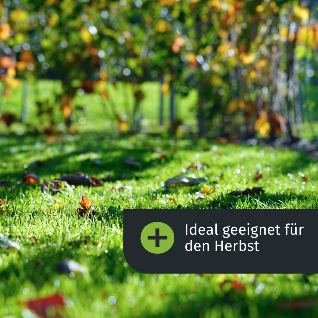 turbogrün® Premium Rasendünger Herbst 10 kg für 280 m² gegen Moos