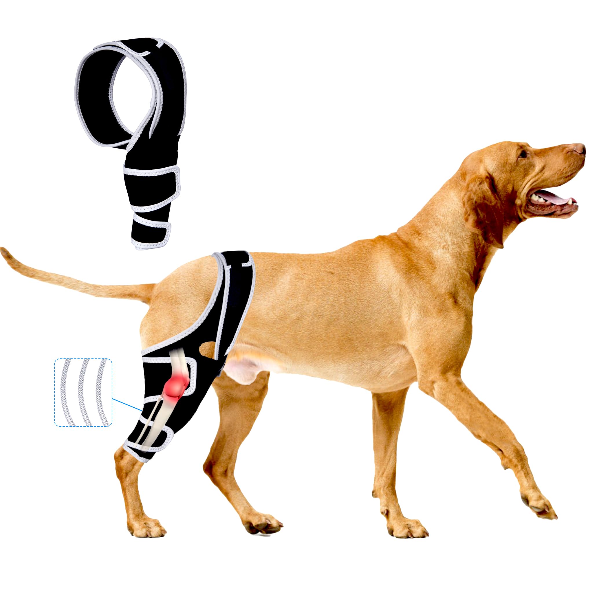 Hunde-Kniebandagen für Hinterbein, Kniebandage für Hunde mit gerissenem ACL Hinterbein oder Vorderbein, Hilfe zur Schmerzlinderung, Arthrose, Bänderverletzungen, verstellbare Beinstütze für