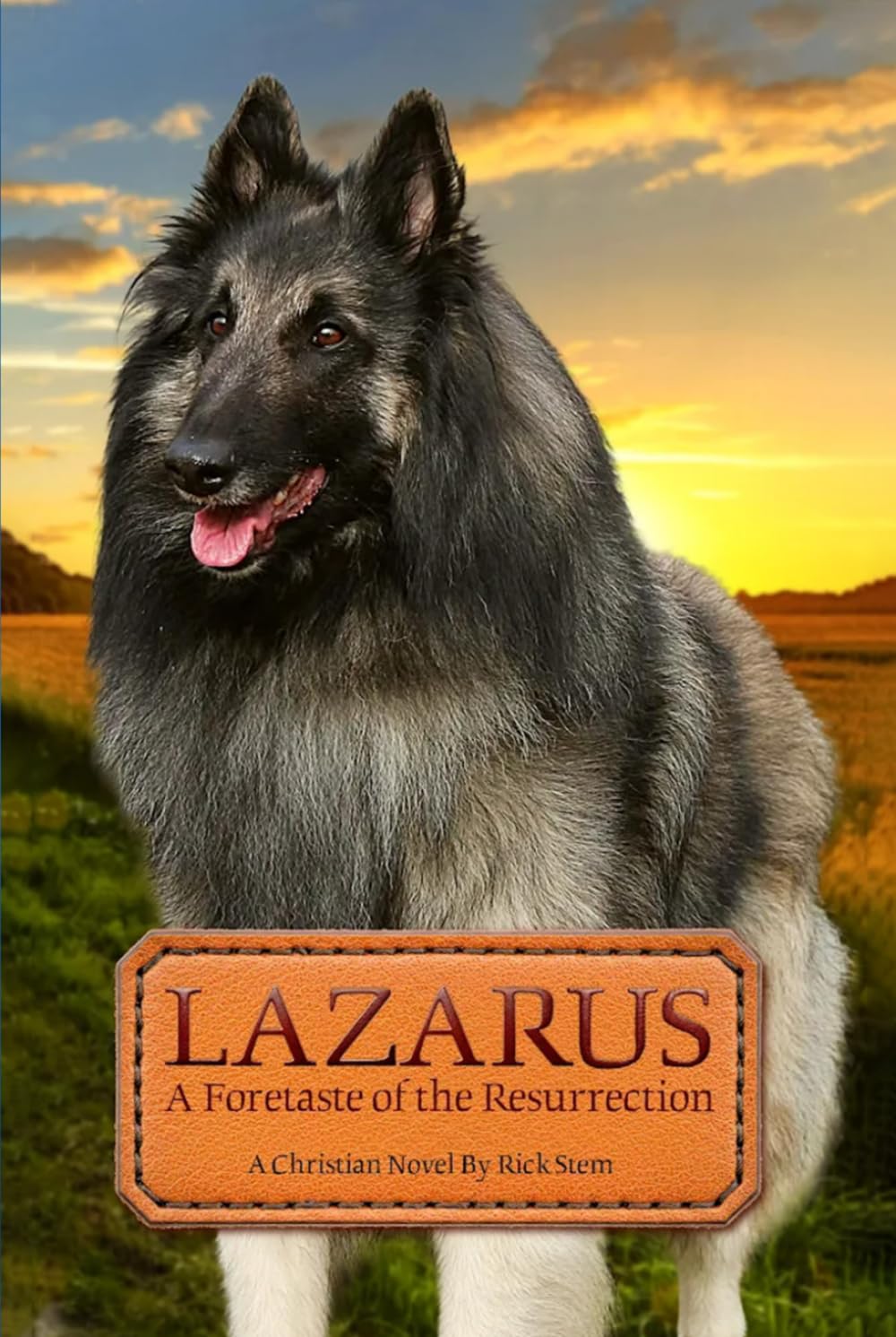 LAZARUS: A Foretaste of the Resurrection