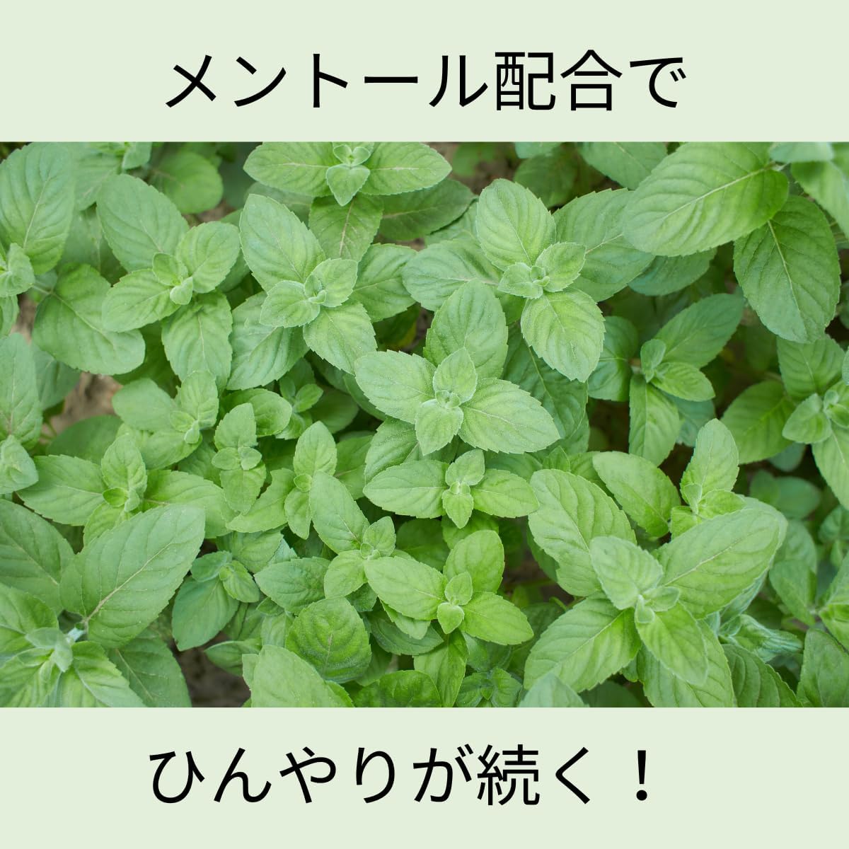 瞬間肌温度 -4度 ひんやり 冷爽 cool ボディシート 30枚入 シトラスの香り ニオイ 汗 ストロング 制汗シート 極冷え 冷