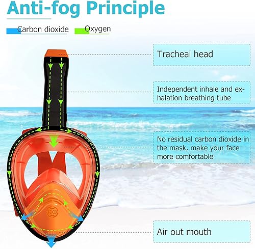Miniatura 8 de Relity Full Face Snorkel Mask with Upgraded Breathing System, Foldable 180 Panoramic View Anti-Leak Anti-Fog Snorkeling Gear for Adults with Detacha
