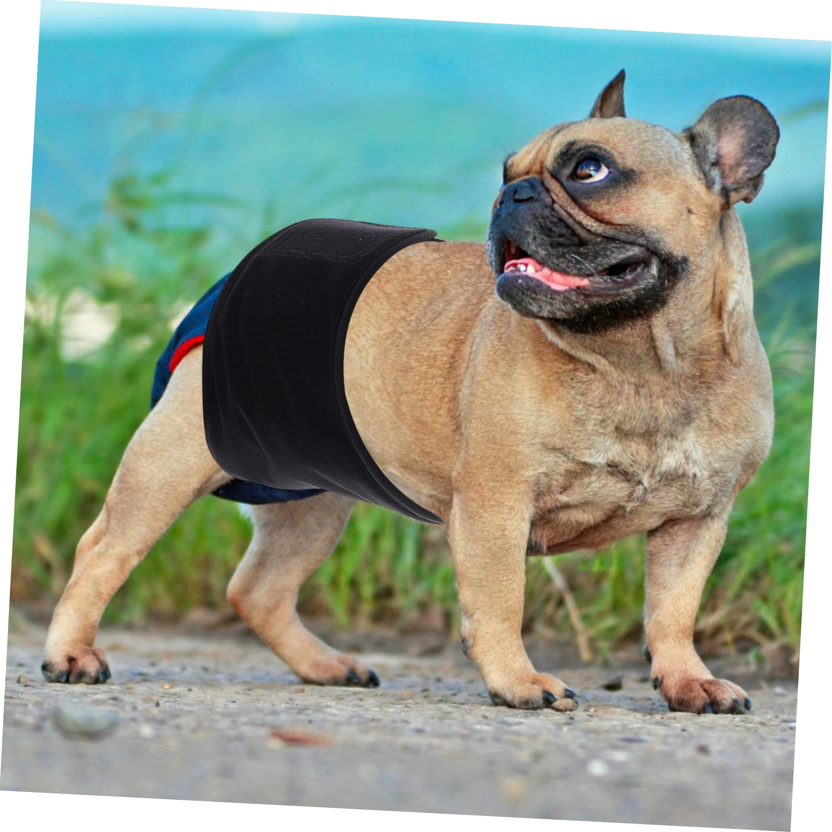 GRIRIW Water Absorbent Dog Diaper for Male Dogs Breathable Washable Compact Pet Belly Band