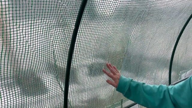 Amazon.com : Grezone Walk-in Greenhouse Upgraded Green House with