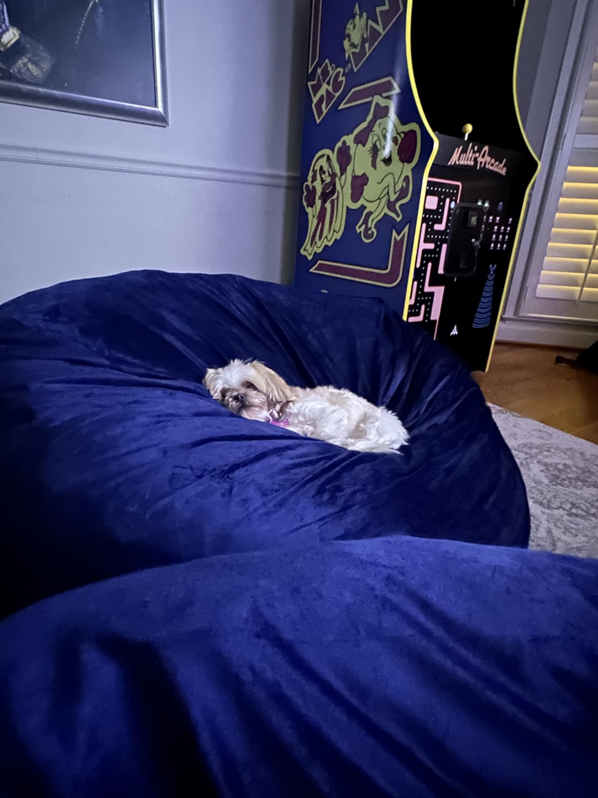 Bean Bag Chairs for Adults - Memory Foam Furniture BeanBag Chair - Kids/Teens Sofa with Soft Micro Fiber Cover photo review