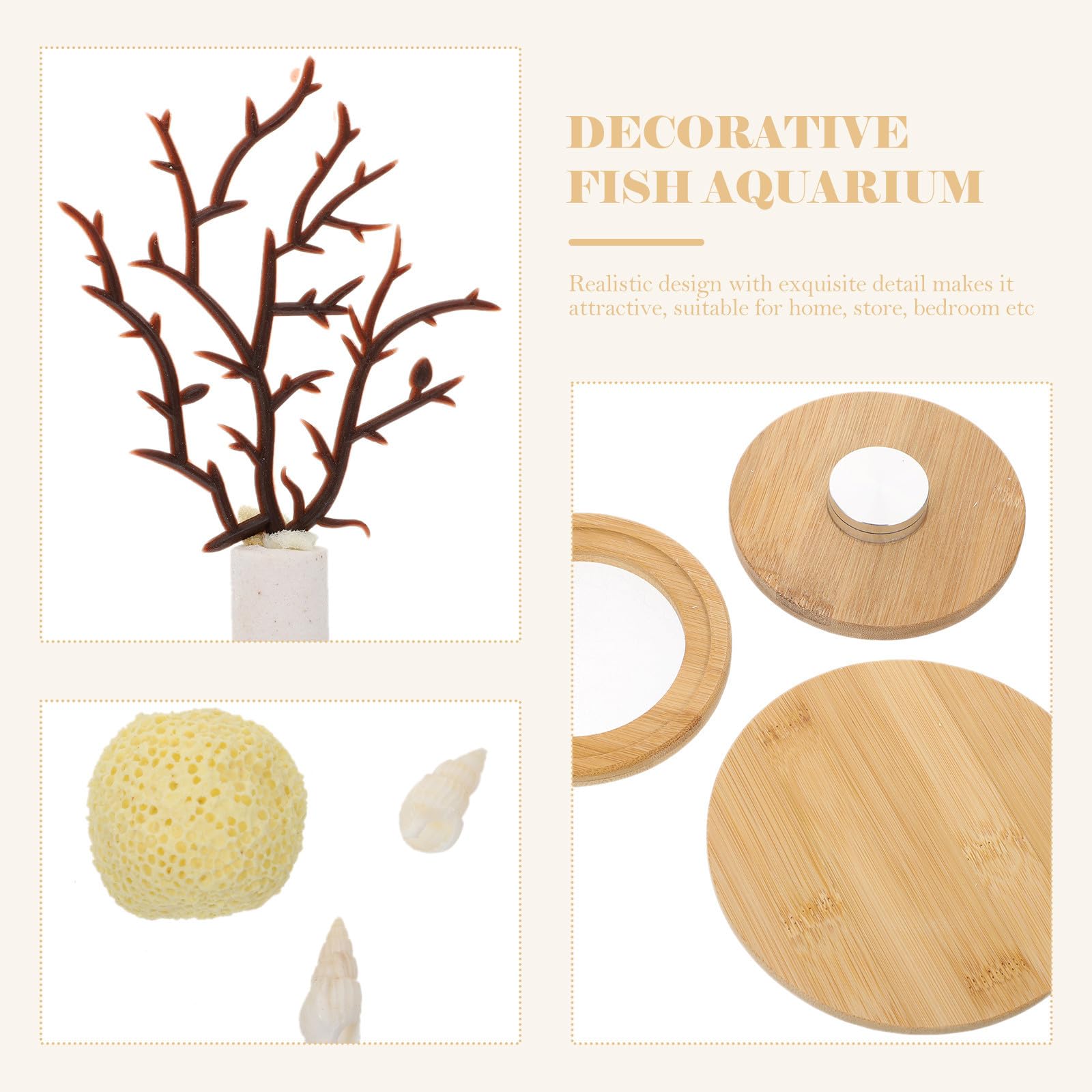 Acuario de Escritorio Decorativo de Vidrio para Oficina