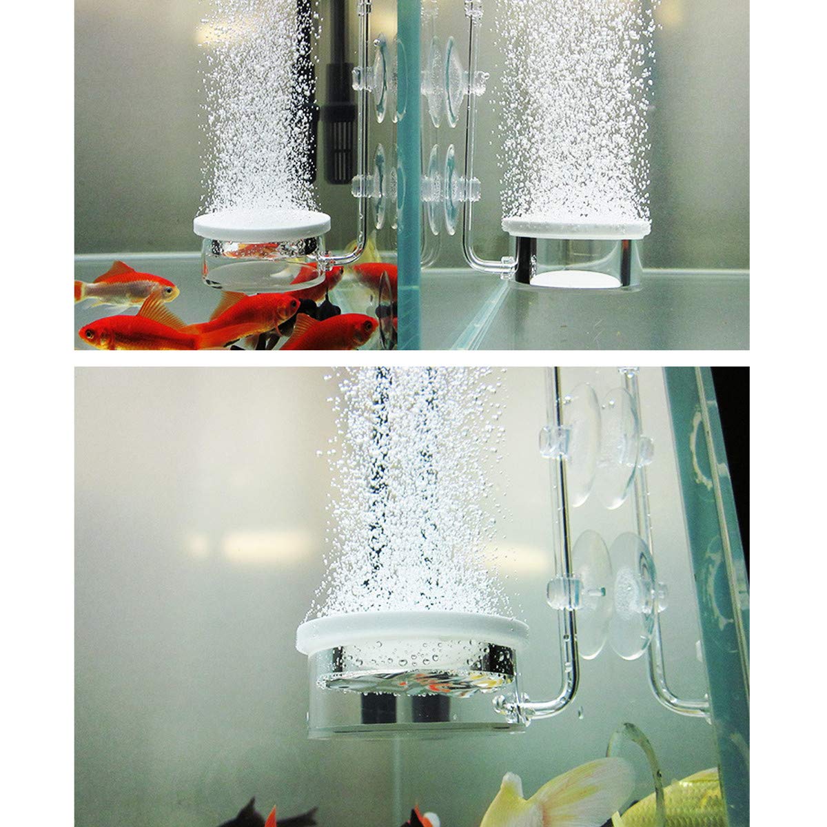 RanDal Aquarium Bubble Air Stone Pump Hydroponics dyfuzor do akwarium, do aeratora