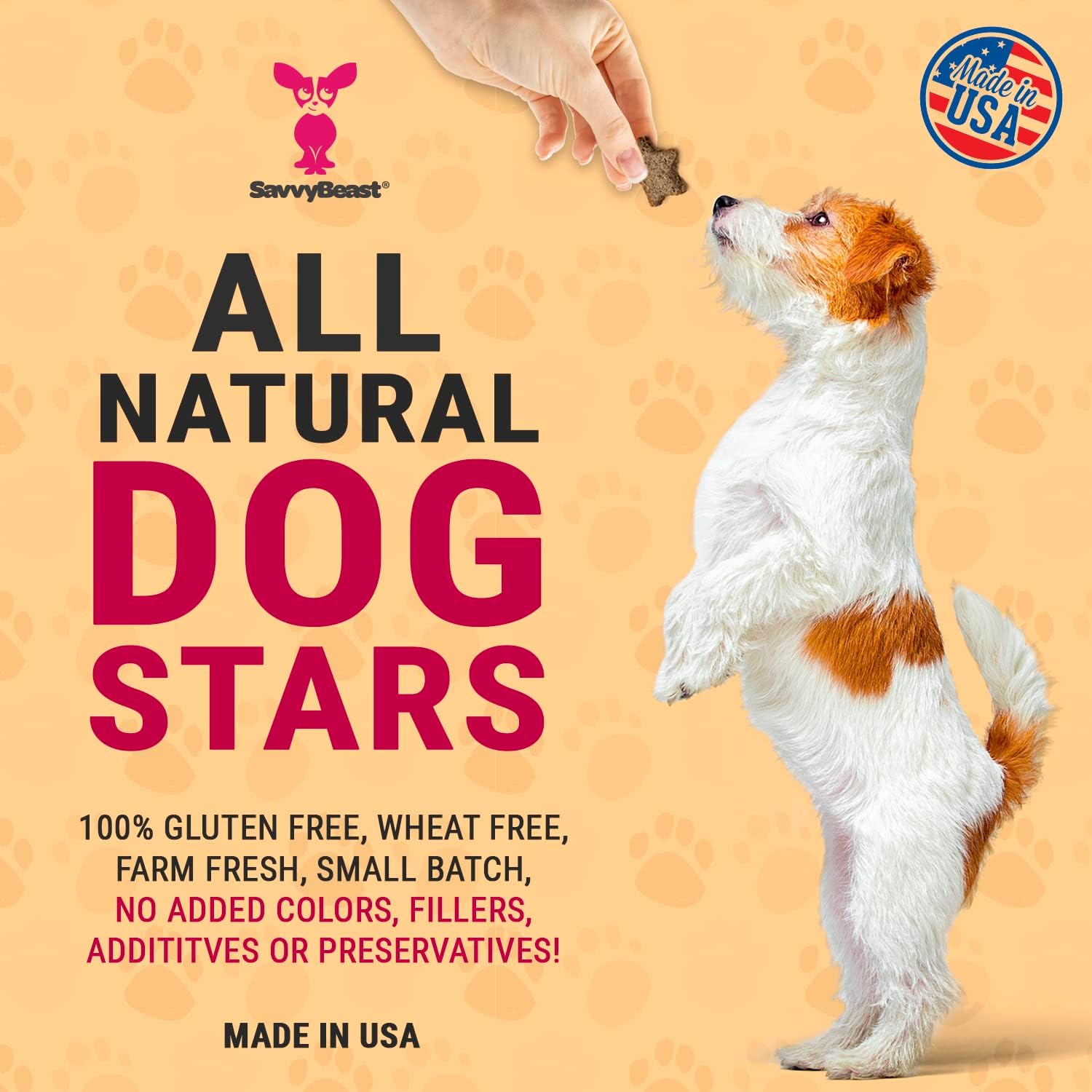 SavvyBeast DogStars Lamb Dog Treats - Ground Lamb with Sweet Potato Flour, Coconut Oil & Chia Flour - Premium High-Protein Meat, Gluten-Free Training Snacks for Dogs & Cats - Made in USA - 8oz