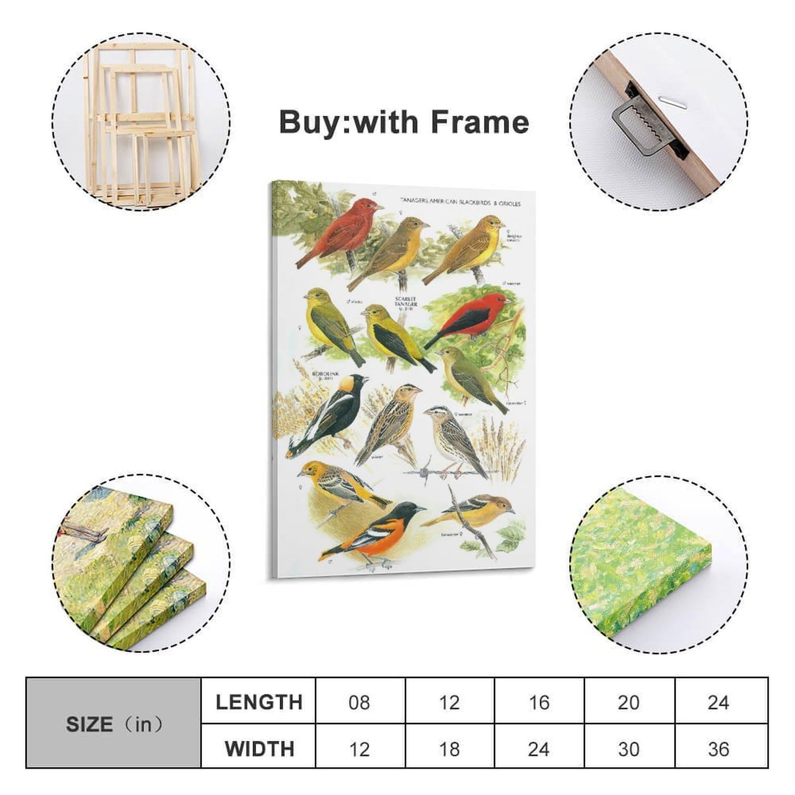 OKNGB Kinder-Zoologie-Pädagogisches Poster, Vogelführer-Poster, dekorative Malerei, Leinwand, Wandposter und Kunstdruck, moderne Familienschlafzimmer-Dekoration, Poster, 50 x 75 cm