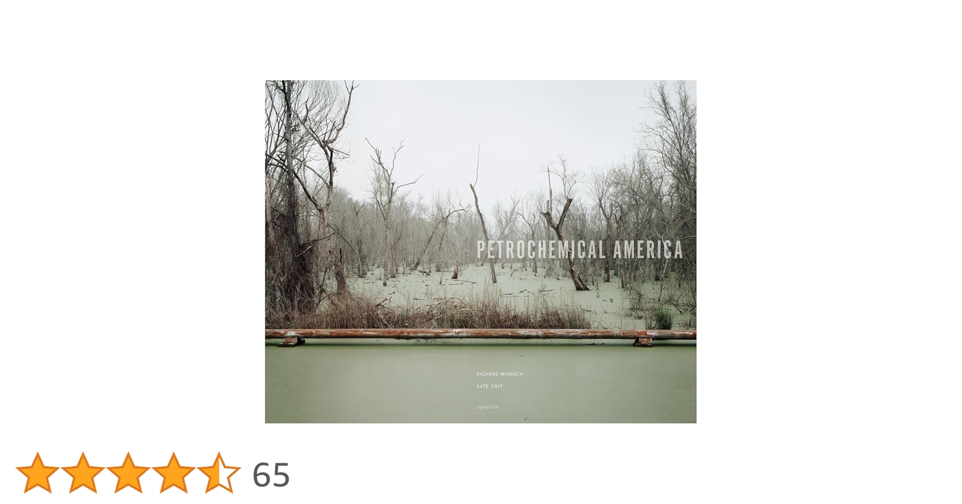 Amazon | Richard Misrach: Petrochemical America | Misrach