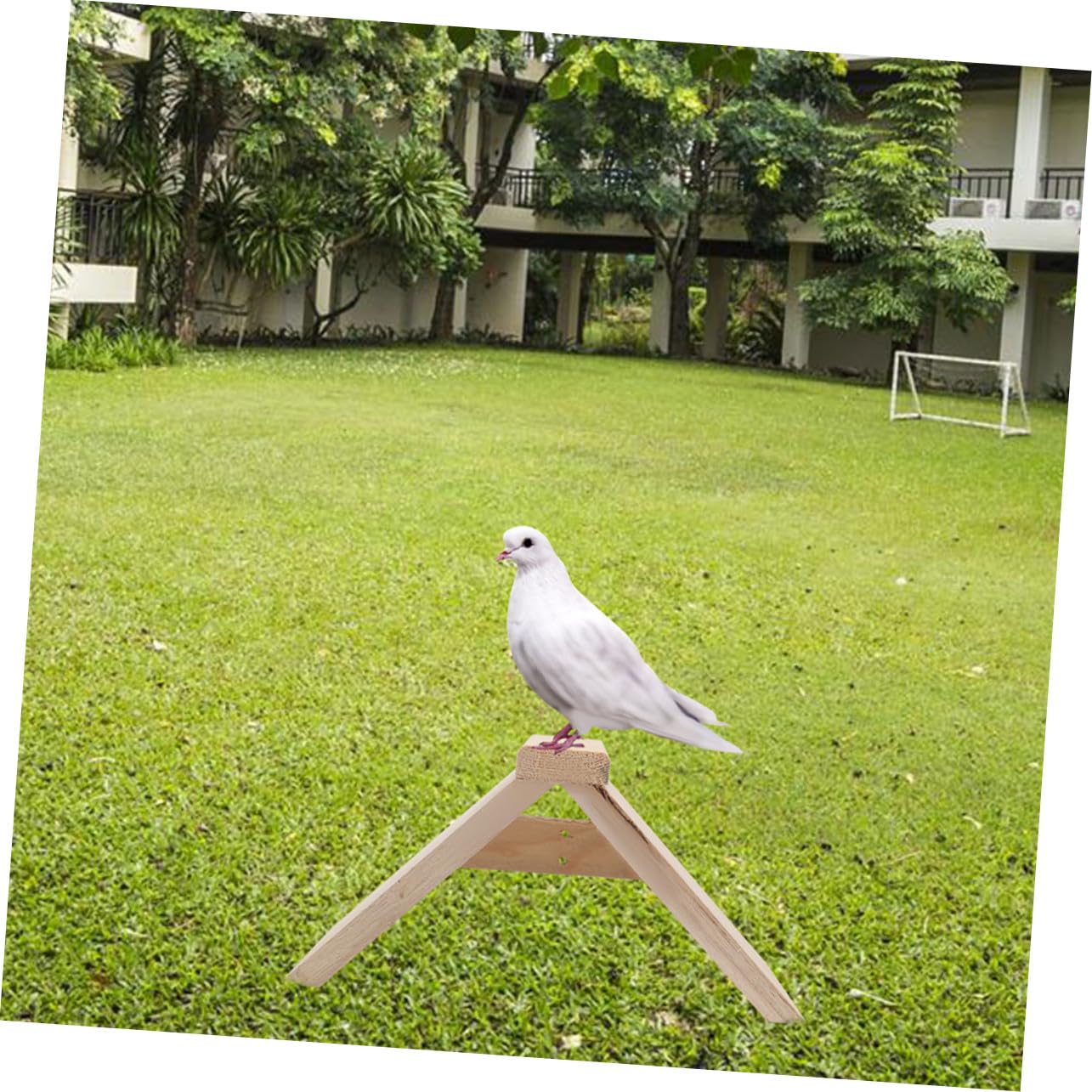 ifundom Soporte De Madera para Aves Multifuncional, Percha Natural De 5 Piezas, Soporte Seguro para Loros y Aves Pequeñas, Adecuado para Suministros De Mascotas y Gallineros