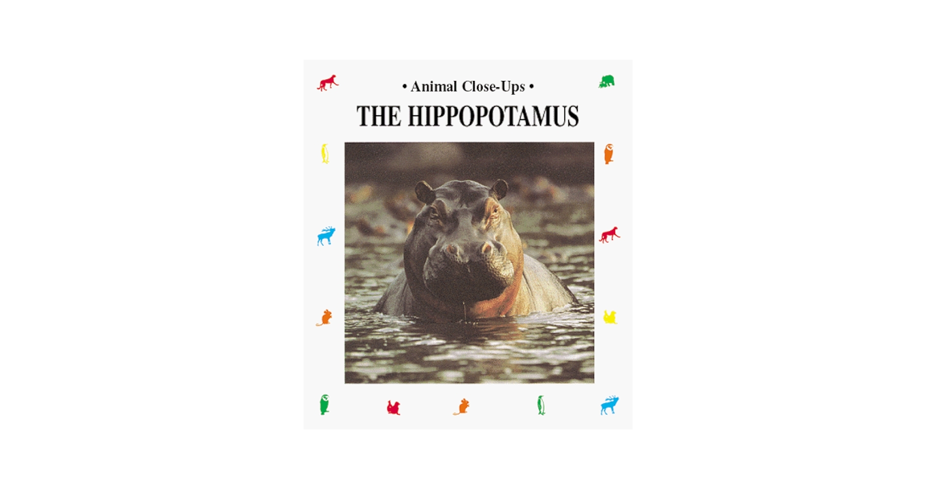 その他 Advice From the Happy Hippopotamus [CD] HappyHippo
