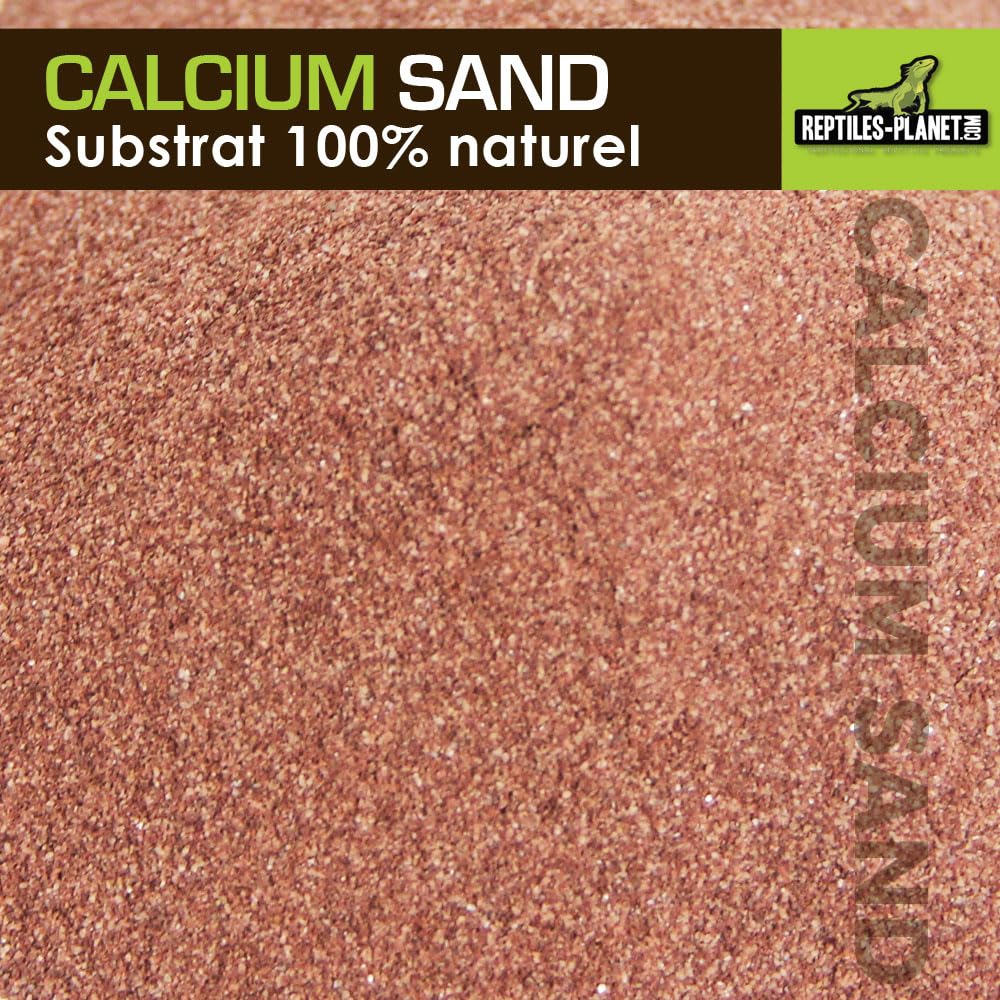 Reptiles-Planet Kalzium Sand, 5kg, Kalahari Rot