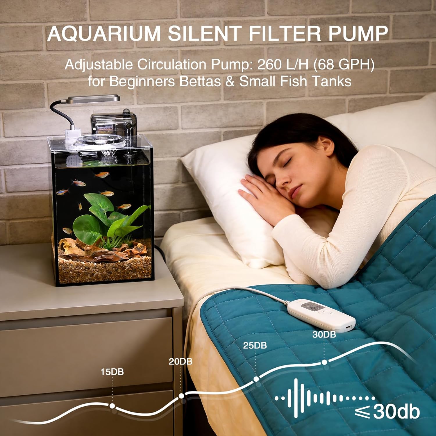 Small Aquarium Set Glass Fish Tank (Black Glass Background, 2.2 Gallon)