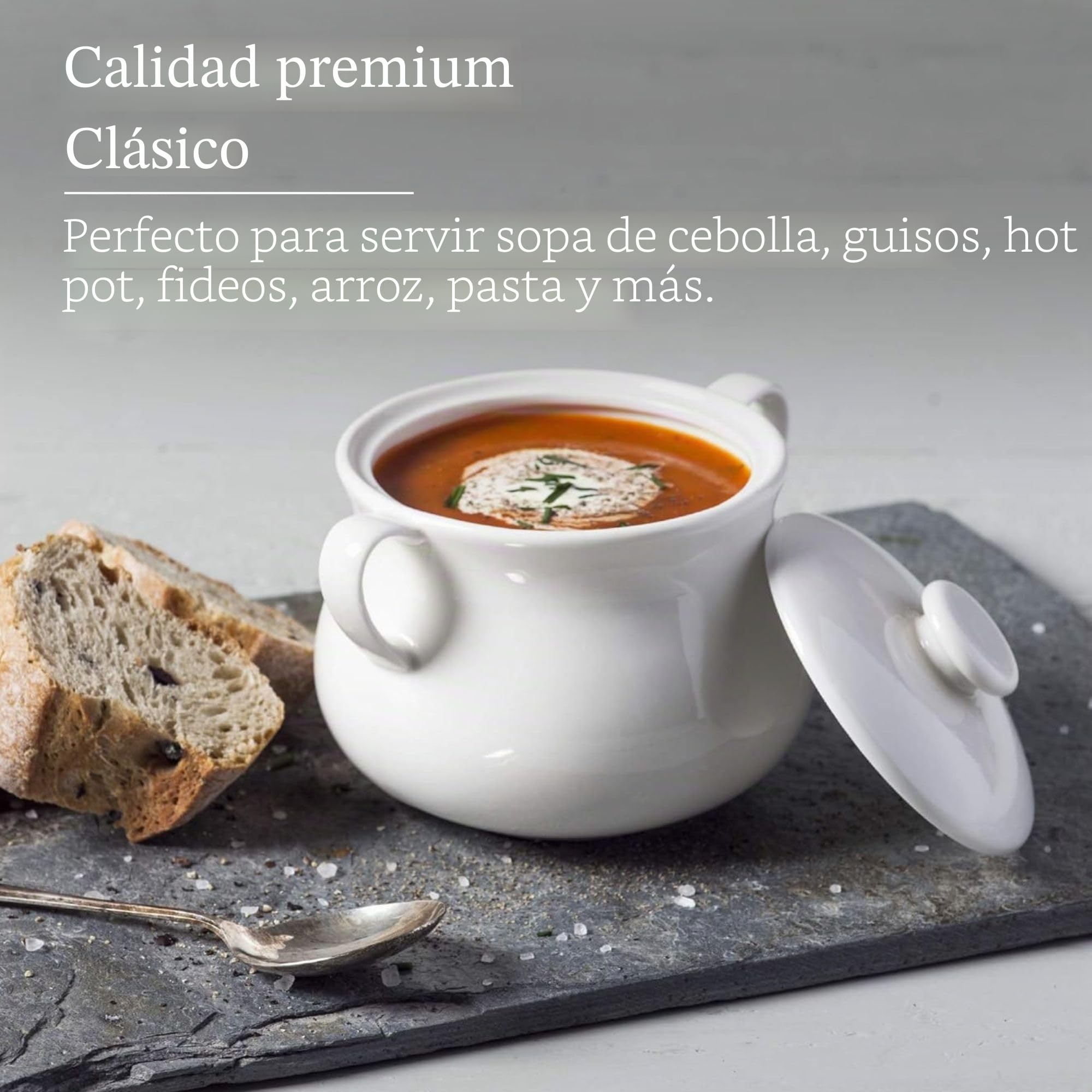 WM Bartleet & Sons 1750 T411 - Cuenco individual de porcelana tradicional con tapa para sopa y guiso de cebolla francesa con asas, 500 ml, color blanco
