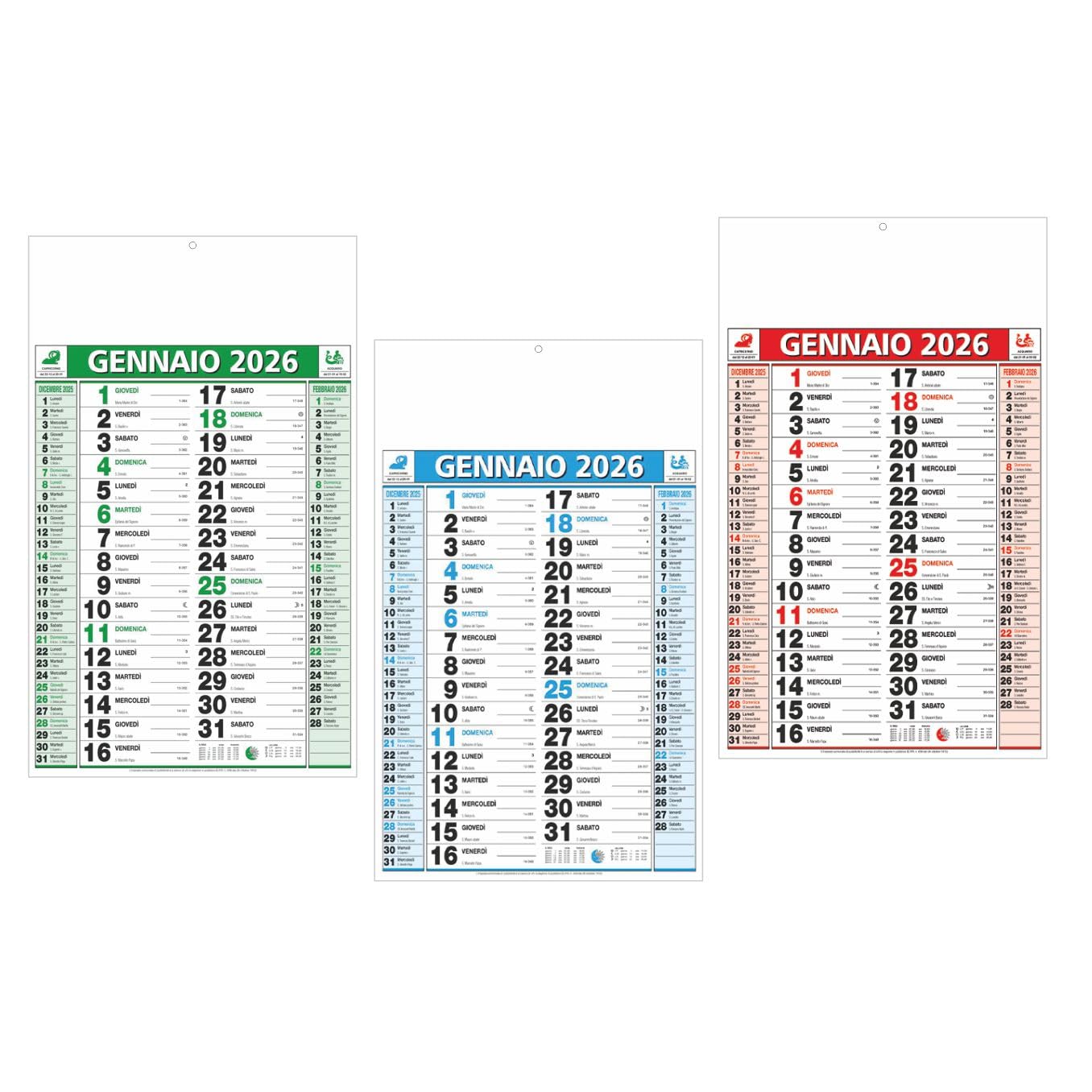 Calendario Olandese 2026, Set di 100 Calendari da Parete Personalizzabili, Formato Grande Mensile per Aziende e Attività Commerciali gadget pubblicitari natale innaugurazione