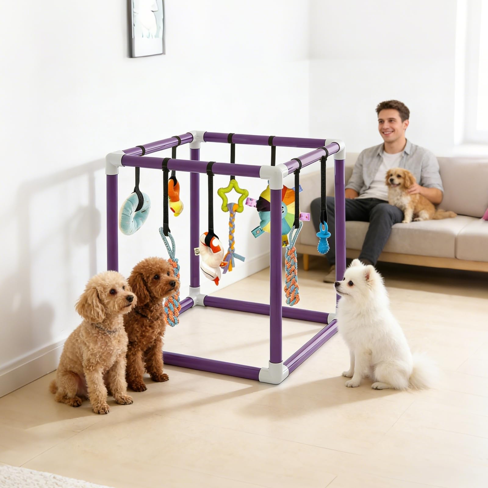 Estudio de juegos para cachorros con 8 juguetes colgantes, marco de PVC morado, centro de actividades para perros pequeños, estudio de juegos para cachorros para perros pequeños, paraíso con