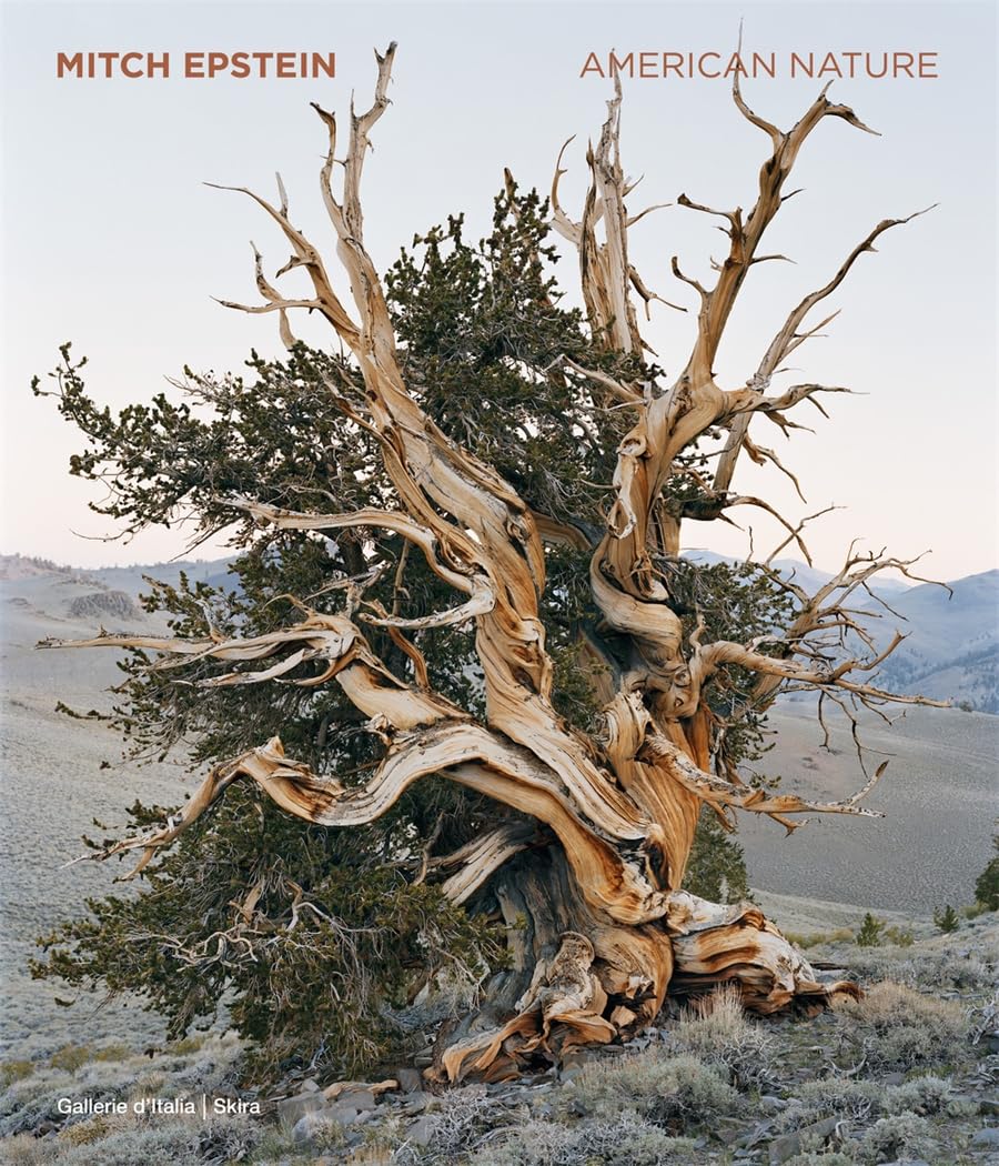 Mitch Epstein : American Nature