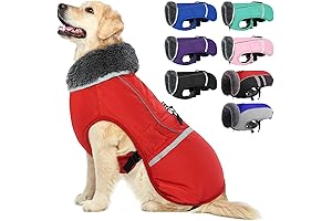 Warm Basset Hound Coat: A Wintertime Essential for Your Beloved Canine