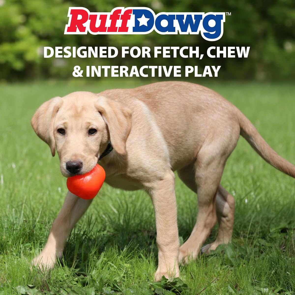 Ruff Dawg Ruff-Core Fetch Toy - Durable Chew Toy for Dogs -5