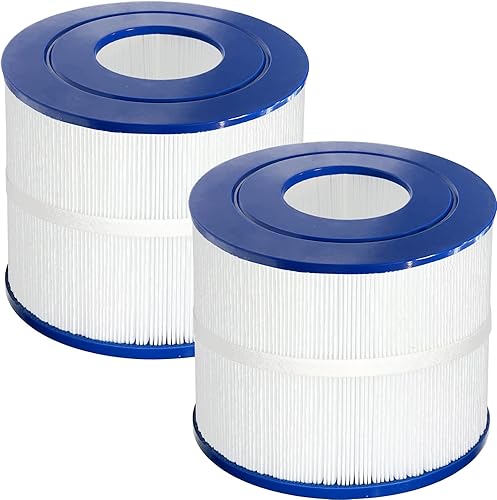 Vickmons Paquete de 2 filtros de repuesto para bañera de hidromasaje PBF40M para spa compatible con Pleatco PBF40M Bull Frog Spas Wellspring 30 sin