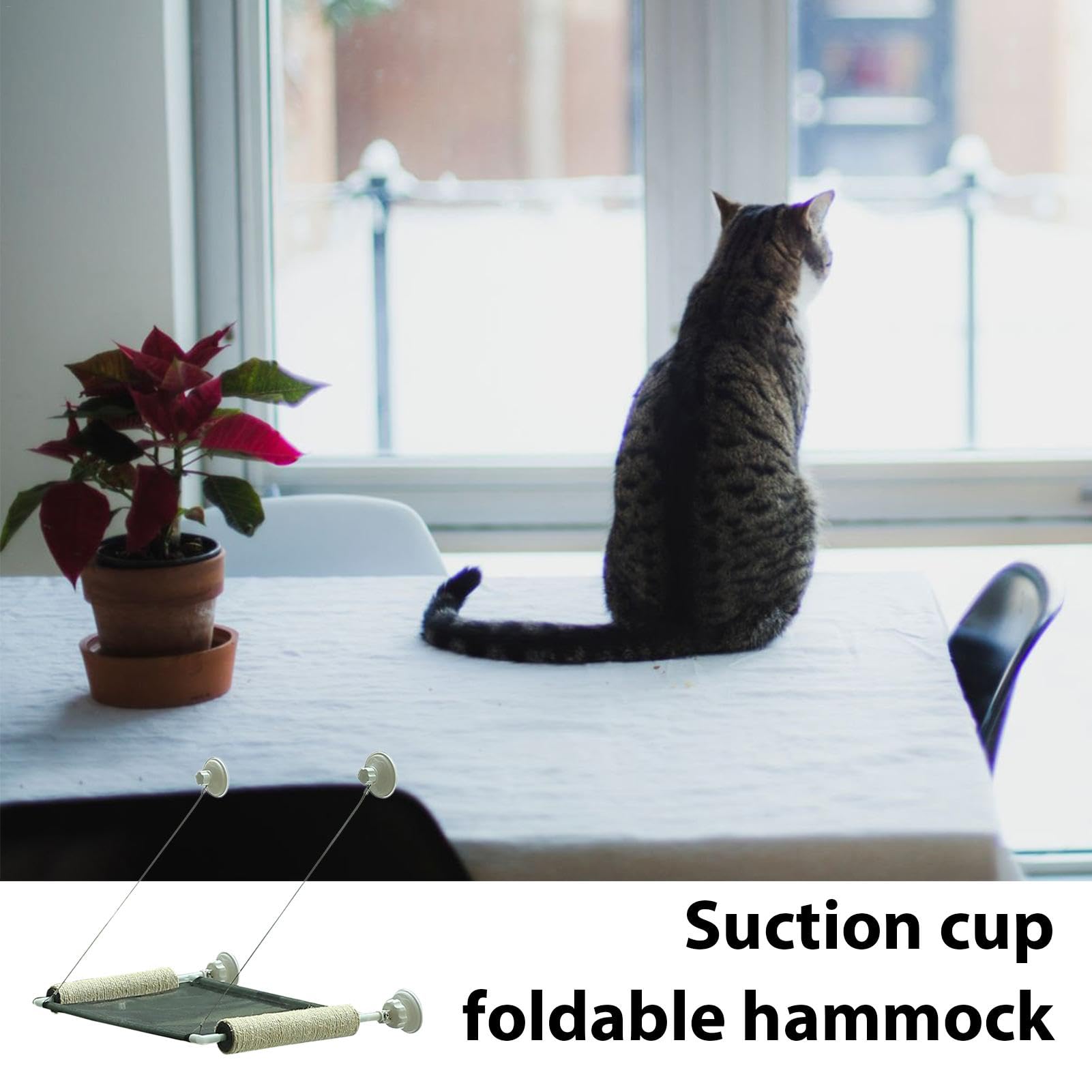 Perchoir de fenêtre pliable pour chat, siège de repos pour animal