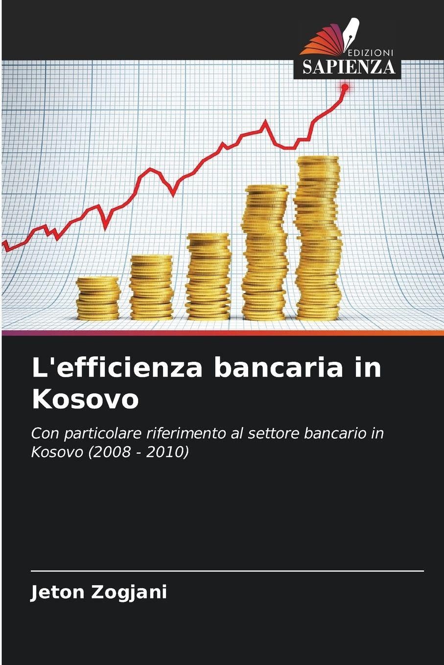 L'efficienza bancaria in Kosovo: Con particolare riferimento al settore bancario in Kosovo (2008 - 2010)