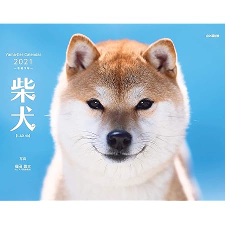 Amazon 365カレンダー 21年 日本犬 カレンダー 壁掛け 卓上付き 21 015 カレンダー 文房具 オフィス用品