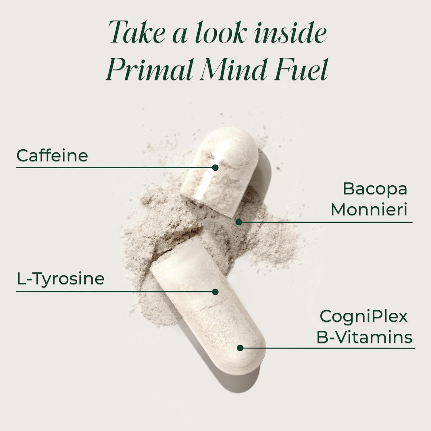 Primal Harvest Brain Supplement, Primal Mind Fuel Brain Booster for Focus, Energy, Clarity, Memory Brain Health 30 Capsules Nootropics Brain Support Supplement for Men and Women (2 Pack (30 Count)) - Image 5