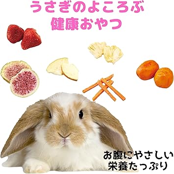 Amazon Co Jp うさぎ の おやつ 果実のおたより 野菜のおたより 6点セット 果実のおたより りんご 10g 果実のおたより いちご 10g 果実のおたより いちじく 10g 果実のおたより パイン 10g 野菜のおたより にんじん 10g 野菜のおたより ミニトマト