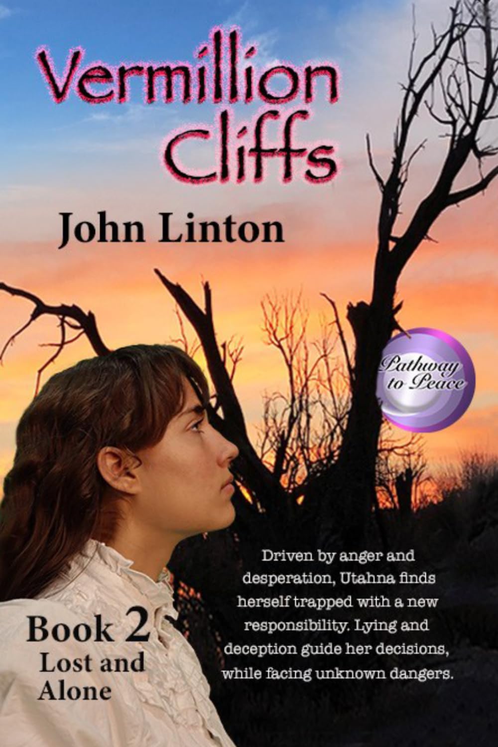 Vermillion Cliffs Book 2: Lost and Alone: by John Linton