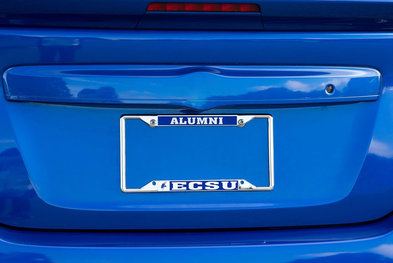 Desert Cactus Elizabeth City State University Car Accessories Metal License Plate Frame for Front or Rear of Car (Alumni 2 Pack)