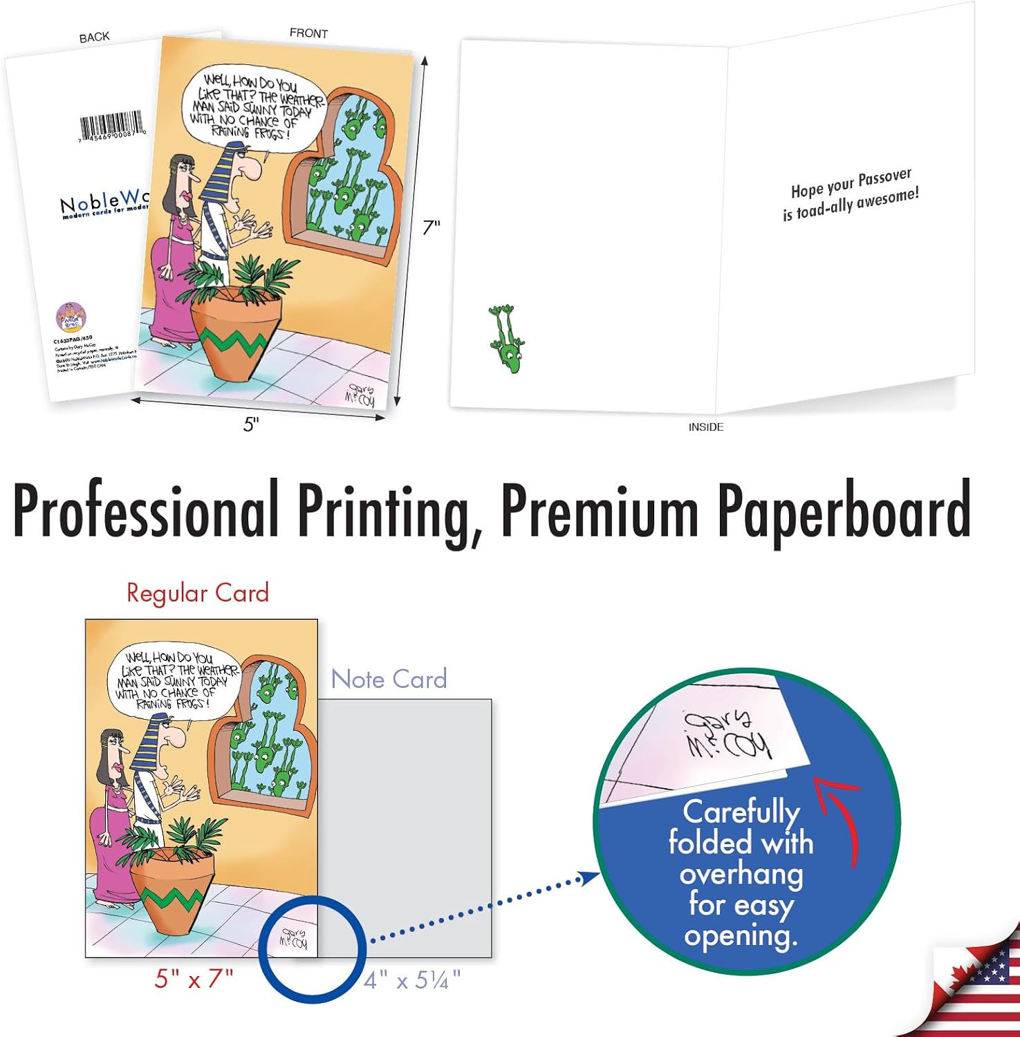 NobleWorks 20 Assorted Box Set Passover Greeting Cards w/ 5 x 7 Inch Envelopes For Men and Women (10 Designs, 2 Each) Jewish Holiday Cards Pesach Laughs AC8463PAG-B2x10