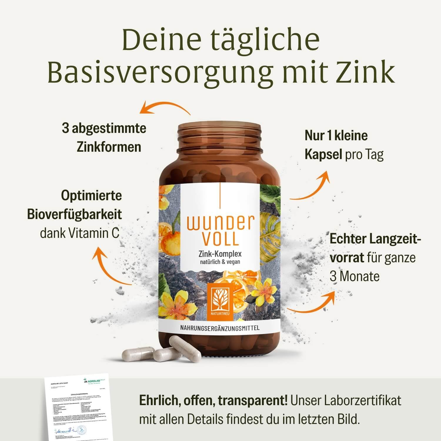 NATURTREU® Zink hochdosiert 25mg - 3-fach Vitamin C Zink Kapseln | 270 Tage Vorrat - Vorteilsbundle 3er Paket - vegan - in Deutschland produziert - Zink Komplex Vitamin C