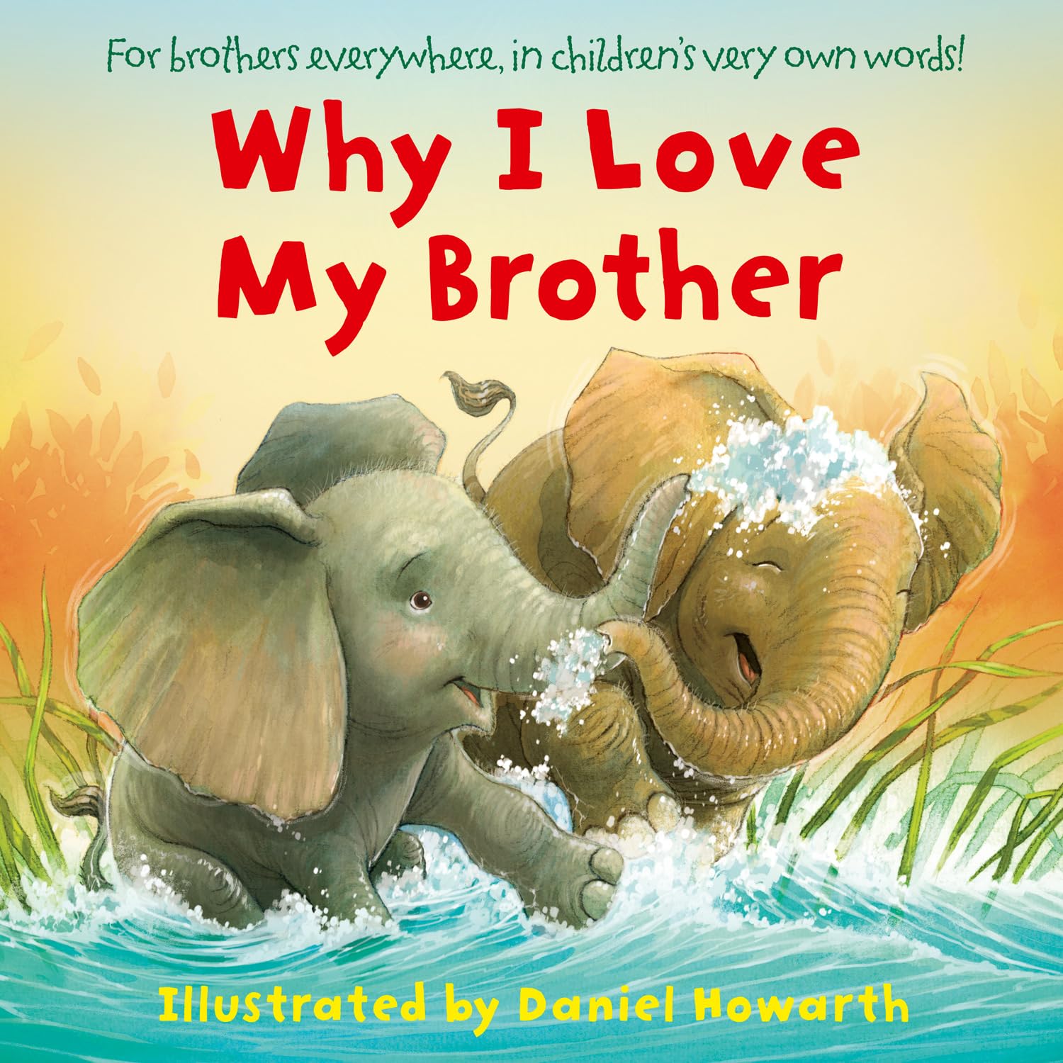 Why I Love My Brother: Howarth, Daniel: 9780008267124: Books