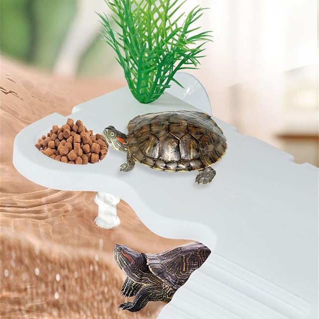Foto 4 de 8 de Plataforma de tortugas grandes para decoración de acuario