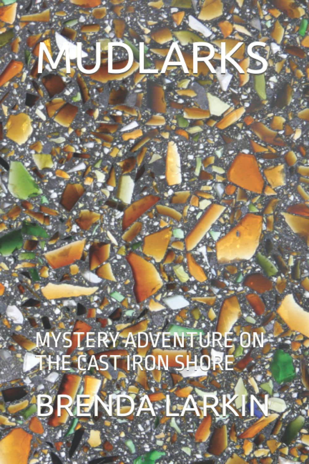 MUDLARKS: MYSTERY ADVENTURE ON THE CAST IRON SHORE