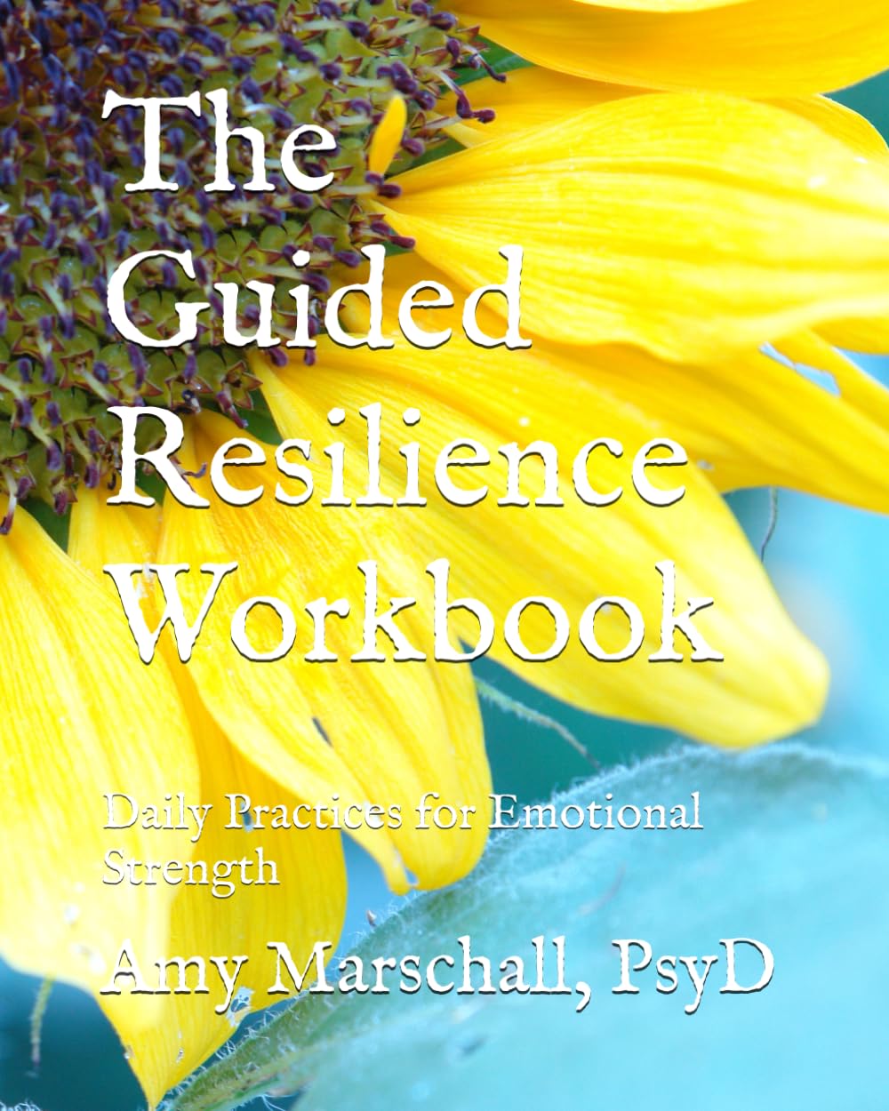 The Guided Resilience Workbook: Daily Practices for Emotional Strength