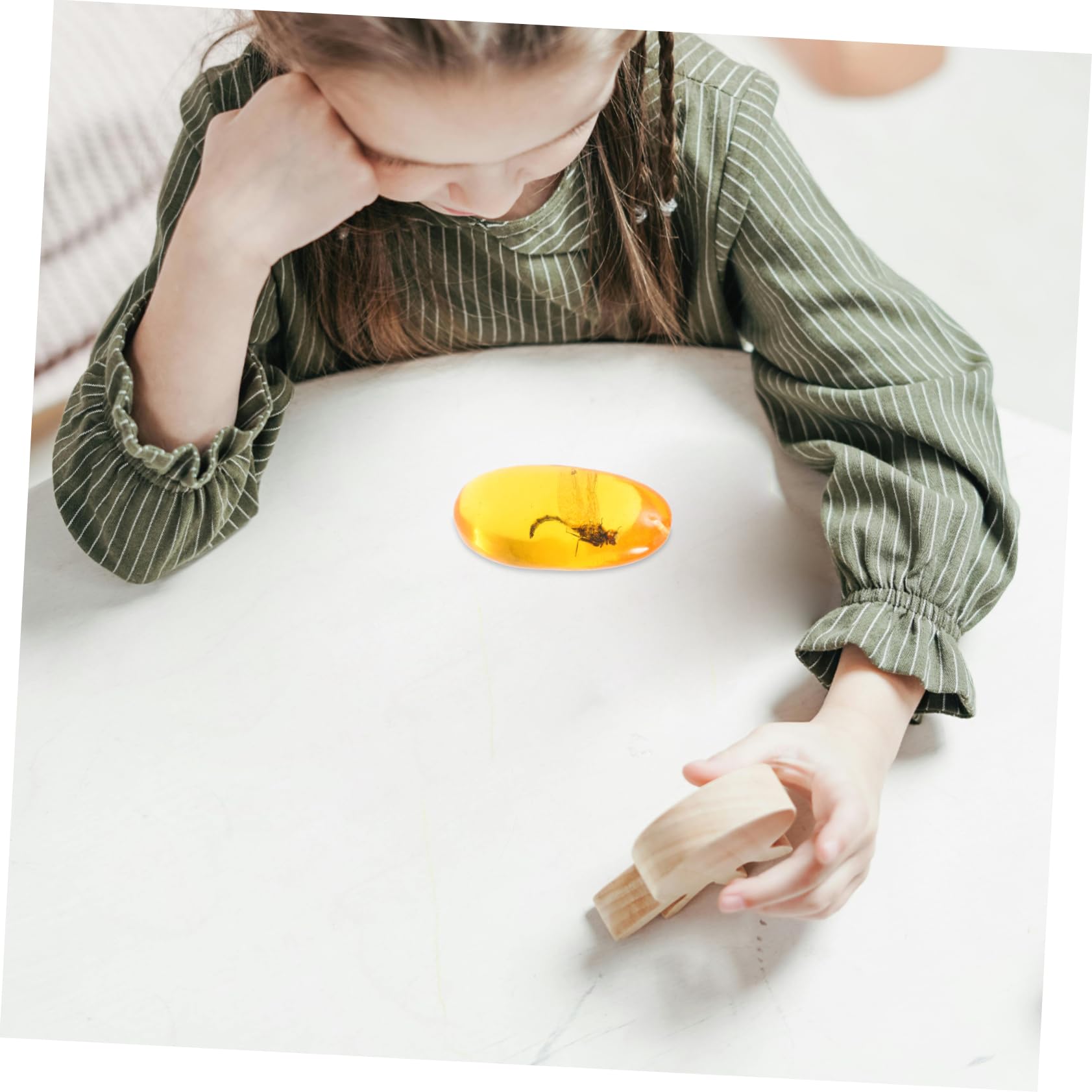 VILLFUL Exquisite Amber Stone Specimen Insect Resin Sample for Decor Unique Insect Amber Specimen