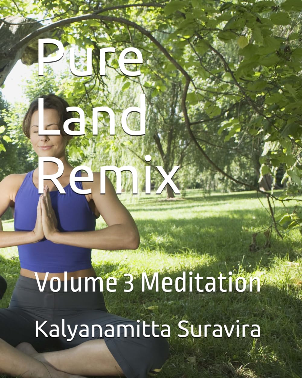 Pure Land Remix: Volume 3 Meditation