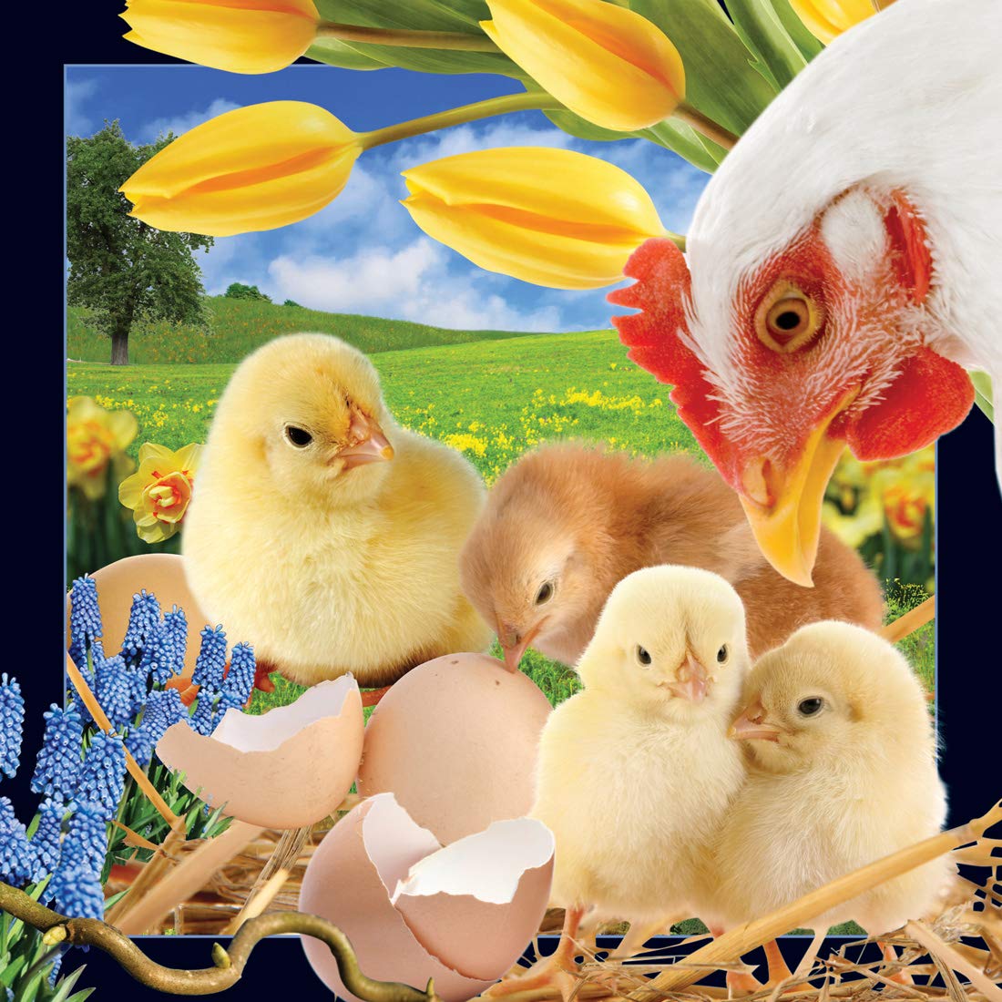 Boston International Worth Keeping Chicken 4D Art Card