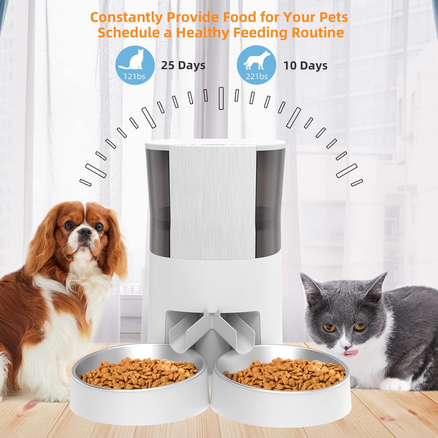 HoneyGuaridan Automatic Cat Feeder for 2 Cats&Dog, Pet Food Dispenser Timed Cat Feeder, Portion Control, Distribution Alarms and Voice Recorder 1-6 Meals per Day - 2 Stainless Steel Bowl : Pet Supplies
