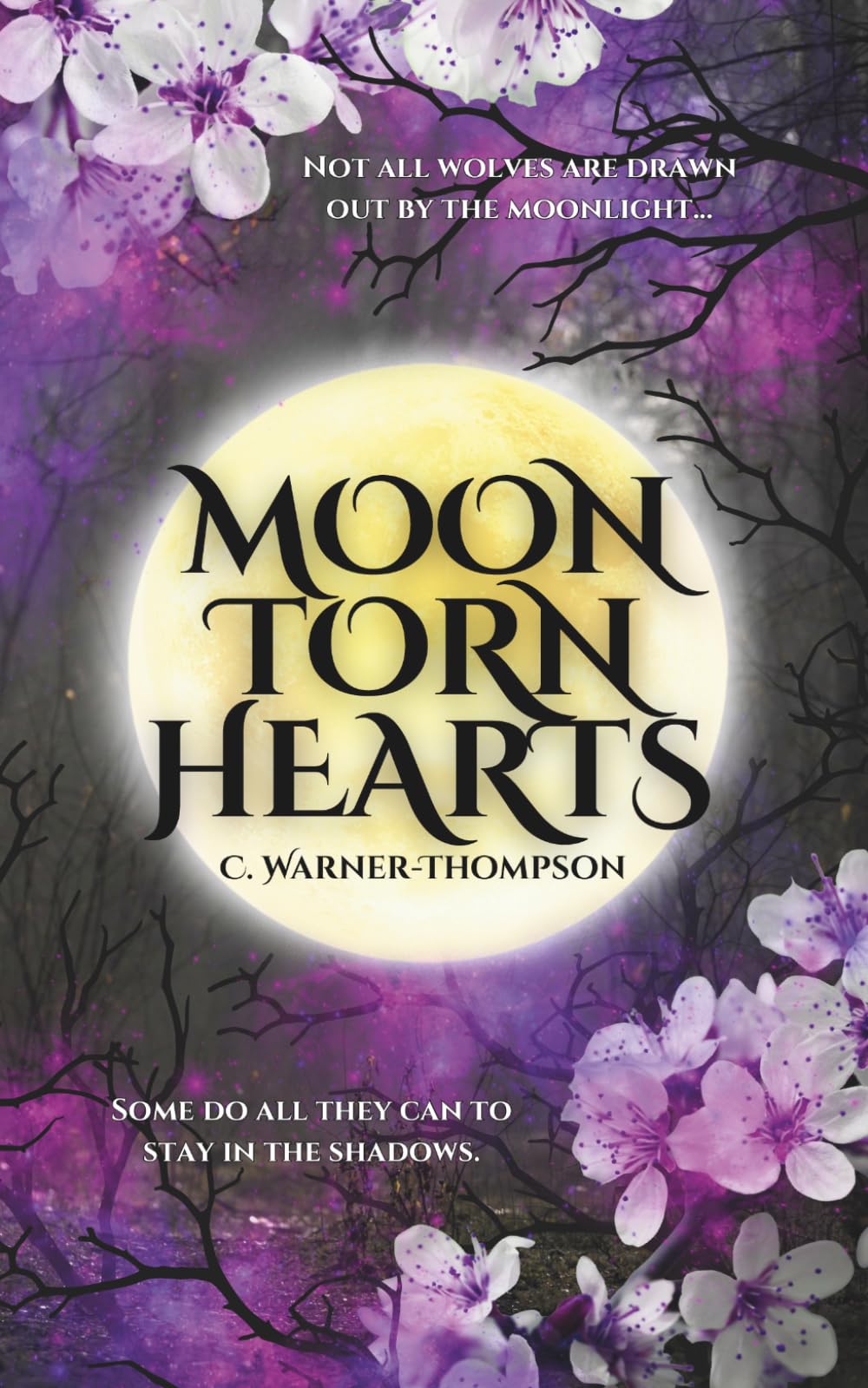 Moon Torn Hearts (Hearts and Souls Series)