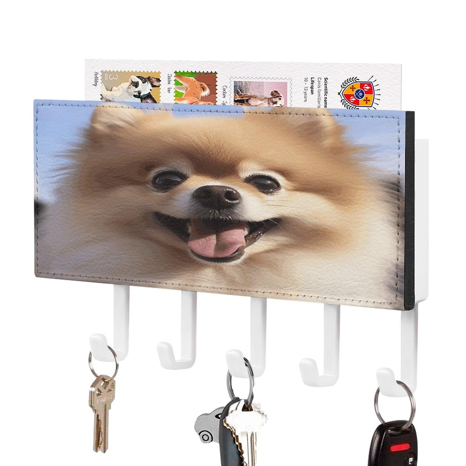 The Metal Peddler Rottweiler Dog - Llavero Para Pared - Pequ | Cuotas