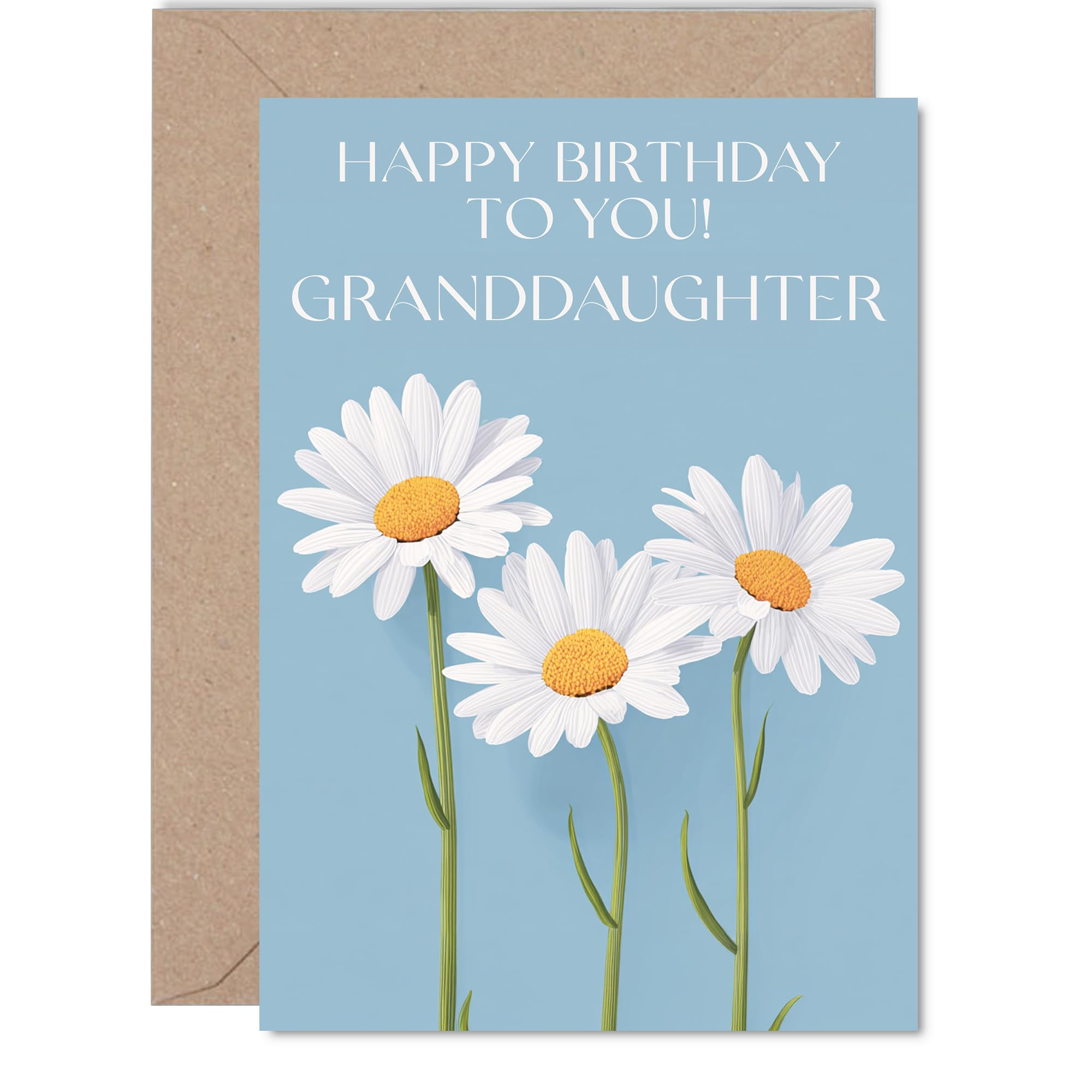 Granddaughter Birthday Card - Wild Daisies - Happy Birthday Card for Granddaughter from Grandad Grandma, 5x7 Inch Floral Flowers Bday Greeting Cards