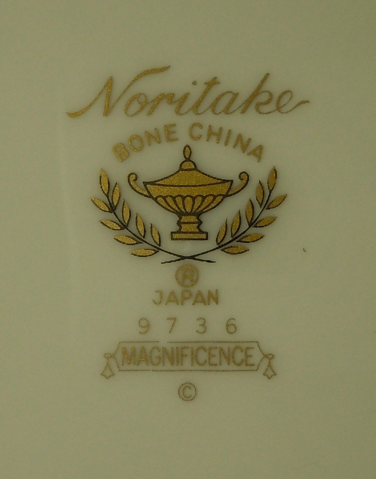 Amazon.com | NORITAKE CUP/SAUCER MAGNIFICENCE (9736): Drinkware